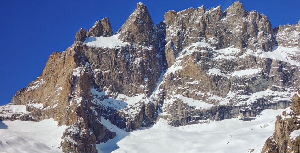 Tour de la Meije. Esquí-Alpinismo | Macizo des Écrins | Alpes